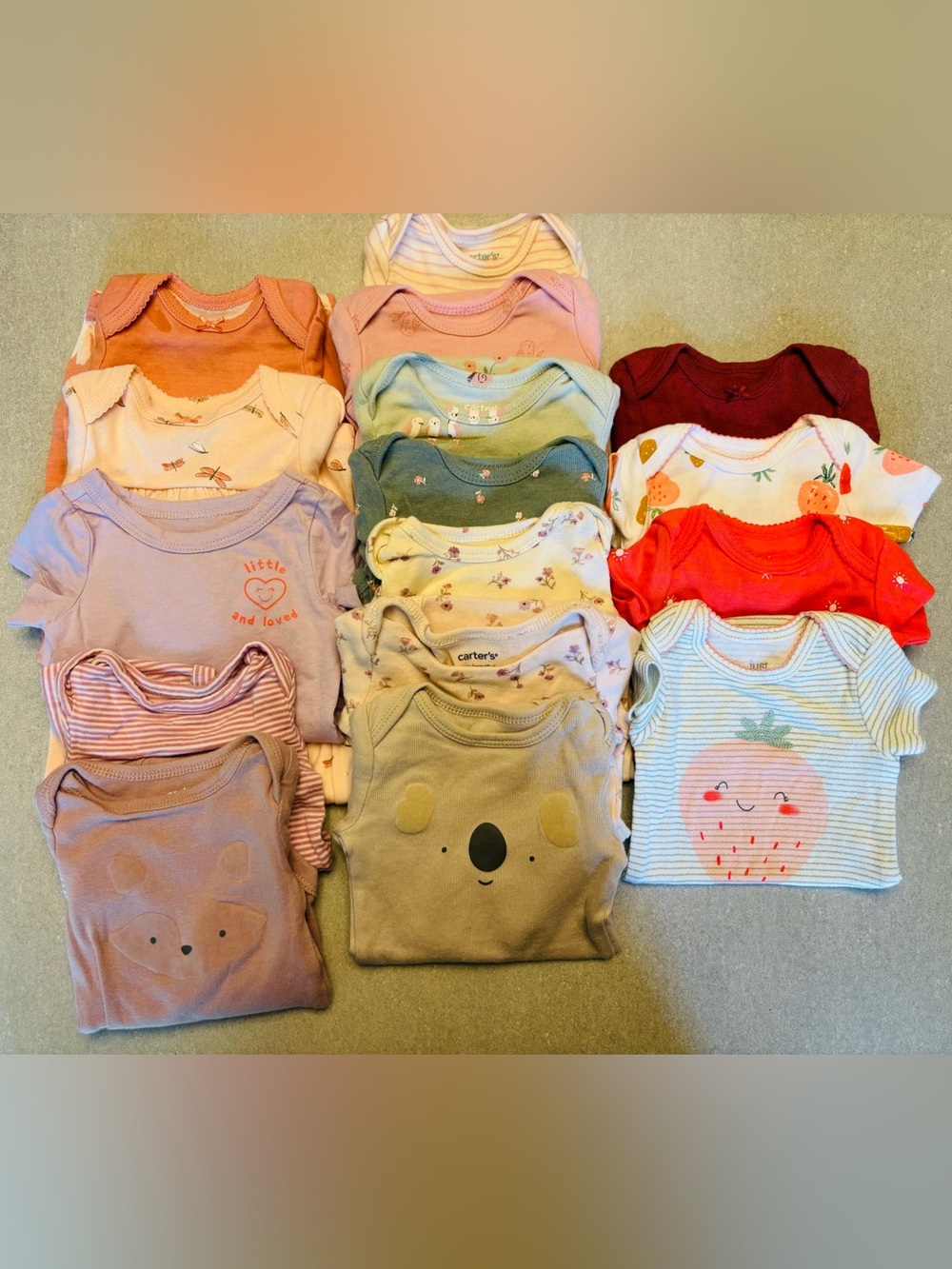 Carter’s Bodysuit Bundle
